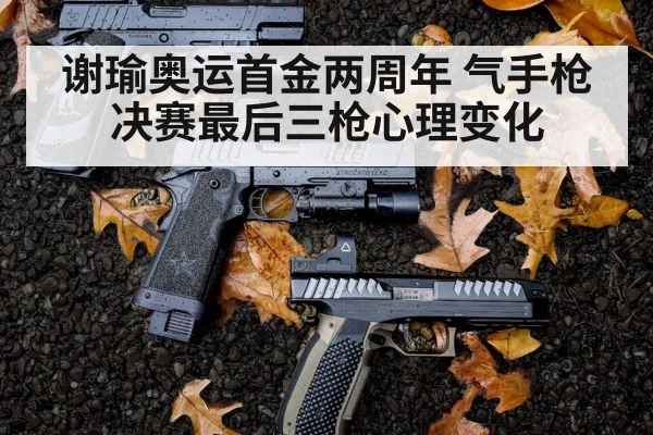 谢瑜奥运首金两周年 气手枪决赛最后三枪心理变化
